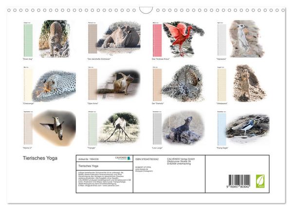 Produktbild: Tierisches Yoga (Wandkalender 2026 DIN A3 quer), CALVENDO Monatskalender