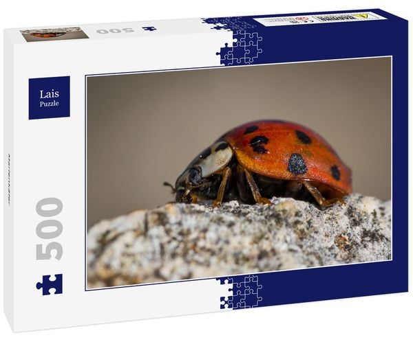 Lais Puzzle Marienkäfer 500 Teile