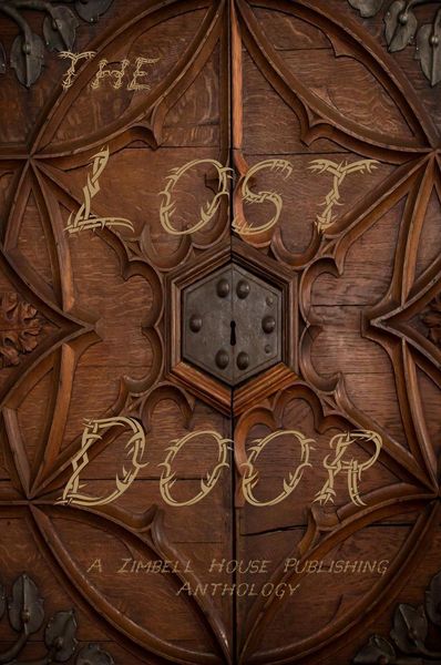 Produktbild: The Lost Door