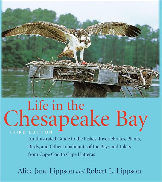 Produktbild: Life in the Chesapeake Bay
