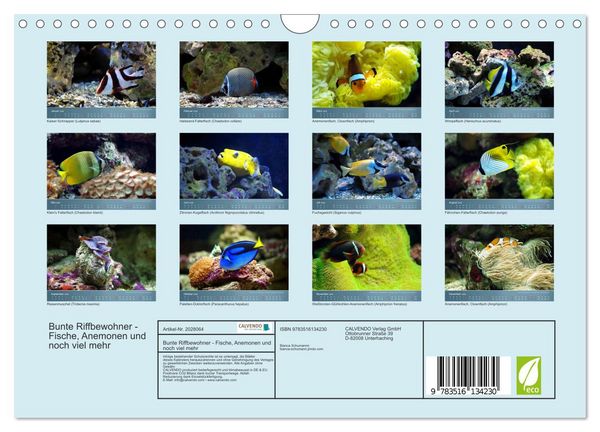 Produktbild: Bunte Riffbewohner - Fische, Anemonen und noch viel mehr (Wandkalender 2026 DIN A4 quer), CALVENDO Monatskalender
