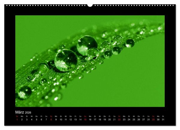 Produktbild: Meine kleine gr&uuml;ne Wassertropfen Welt (hochwertiger Premium Wandkalender 2026 DIN A2 quer), Kunstdruck in Hochglanz