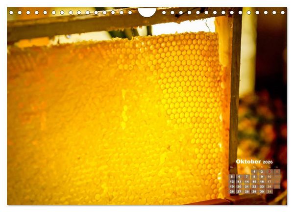 Produktbild: Ein Leben f&uuml;r den Honig - Bienen und Imker (Wandkalender 2026 DIN A4 quer), CALVENDO Monatskalender