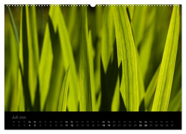 Produktbild: Natur im Detail (Wandkalender 2026 DIN A2 quer), CALVENDO Monatskalender
