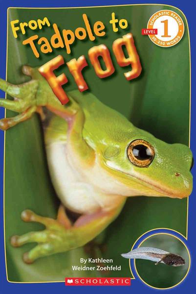 Produktbild: From Tadpole to Frog (Scholastic Reader, Level 1)