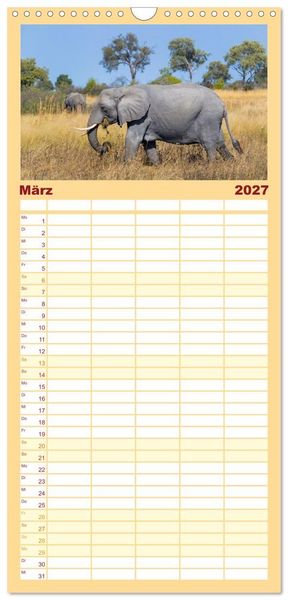 Produktbild: Familienplaner 2027 - Afrika Wildlife-Fotografien mit 5 Spalten (Wandkalender, 21 x 45 cm) CALVENDO