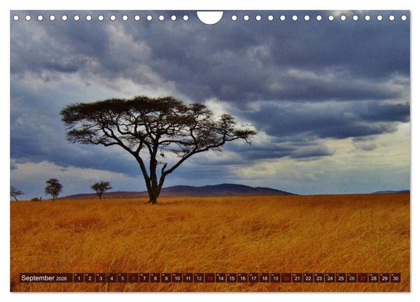 Produktbild: Afrika. Zauber des schwarzen Kontinents (Wandkalender 2026 DIN A4 quer), CALVENDO Monatskalender