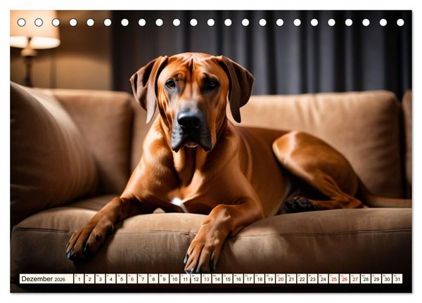 Produktbild: Rhodesian Ridgeback - Athlet mit R&uuml;ckenkamm (Tischkalender 2026 DIN A5 quer), CALVENDO Monatskalender
