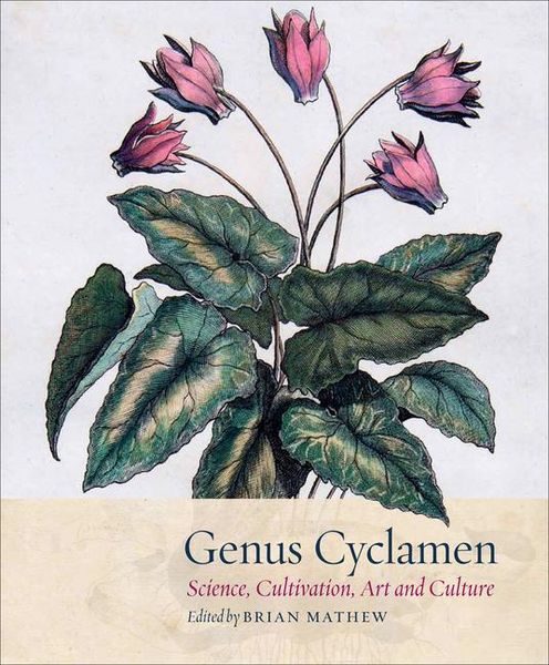 Produktbild: Genus Cyclamen