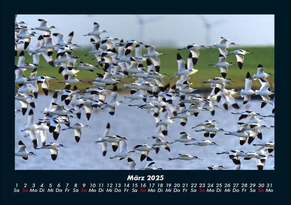 Produktbild: Die Seen der Erde 2025 Fotokalender DIN A4