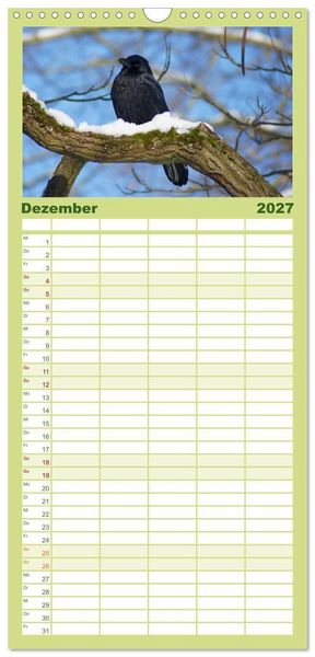 Produktbild: Familienplaner 2027 - Das Leben der Rabenv&ouml;gel mit 5 Spalten (Wandkalender, 21 x 45 cm) CALVENDO
