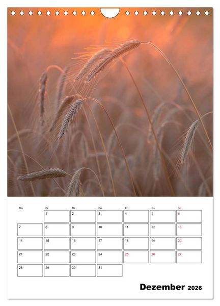 Produktbild: Farben der Natur (Wandkalender 2026 DIN A4 hoch), CALVENDO Monatskalender