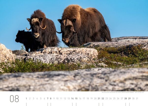 Produktbild: Kanada Exklusivkalender 2027