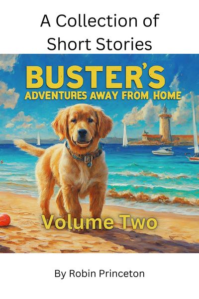 Produktbild: Buster's Adventures Away From Home, Vol Two