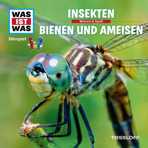Produktbild: 37: Insekten / Bienen und Ameisen