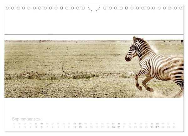 Produktbild: Serengeti Panorama (Wandkalender 2026 DIN A4 quer), CALVENDO Monatskalender