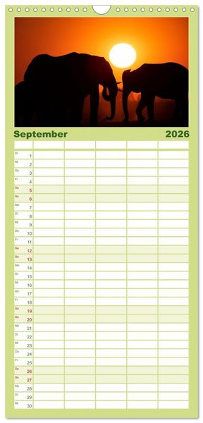 Produktbild: Familienplaner 2026 - Okavango! Atemberaubende Natursch&ouml;nheit im gr&ouml;&szlig;ten Binnendelta der Welt mit 5 Spalten (Wandkalender, 21 x 45 cm) CALVENDO