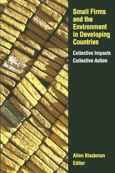 Produktbild: Small Firms and the Environment in Developing Countries