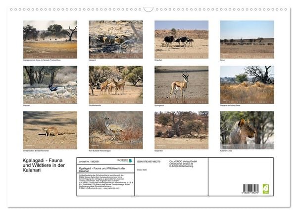 Produktbild: Kgalagadi - Fauna und Wildtiere in der Kalahari (Wandkalender 2026 DIN A2 quer), CALVENDO Monatskalender