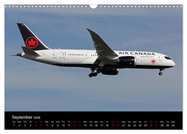 Produktbild: 787 - The Dream Liner (Wall Calendar 2026 DIN A3 landscape), CALVENDO 12 Month Wall Calendar