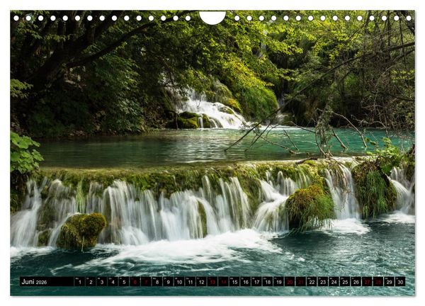 Produktbild: Waldwasser (Wandkalender 2026 DIN A4 quer), CALVENDO Monatskalender