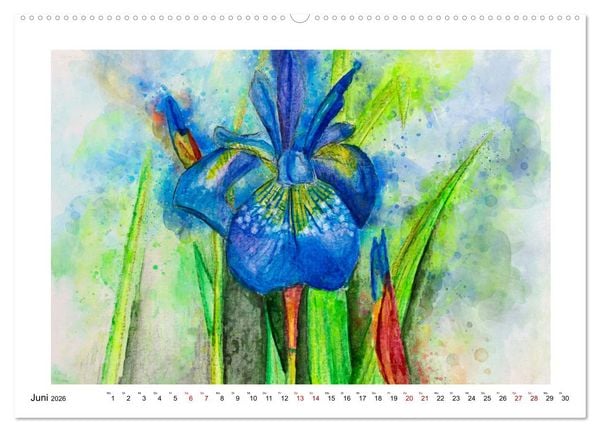 Produktbild: Bl&uuml;ten & Blumen Aquarelle - Farbenfrohe Sch&ouml;nheiten (Wandkalender 2026 DIN A2 quer), CALVENDO Monatskalender