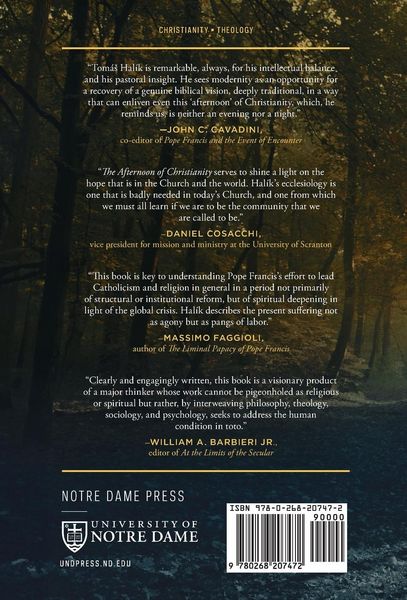 Produktbild: The Afternoon of Christianity