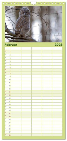 Produktbild: Familienplaner 2026 - geliebte Waldgeister mit 5 Spalten (Wandkalender, 21 x 45 cm) CALVENDO