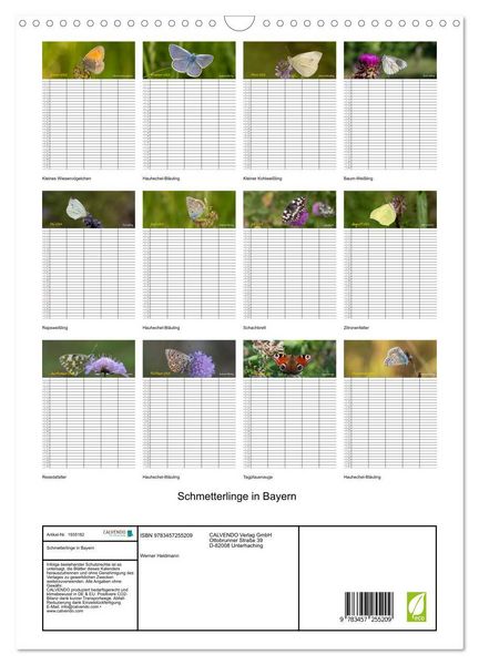 Produktbild: Schmetterlinge in Bayern (Wandkalender 2026 DIN A3 hoch), CALVENDO Monatskalender