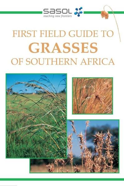 Produktbild: First Field Guide to Grasses of Southern Africa