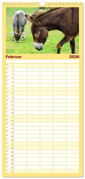 Produktbild: Familienplaner 2026 - Esel - h&uuml;bsch, klug und flei&szlig;ig mit 5 Spalten (Wandkalender, 21 x 45 cm) CALVENDO