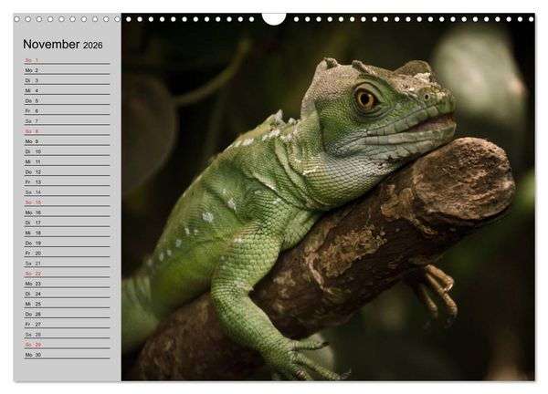 Produktbild: Kaltes Blut. Faszination Reptilien (Wandkalender 2026 DIN A3 quer), CALVENDO Monatskalender