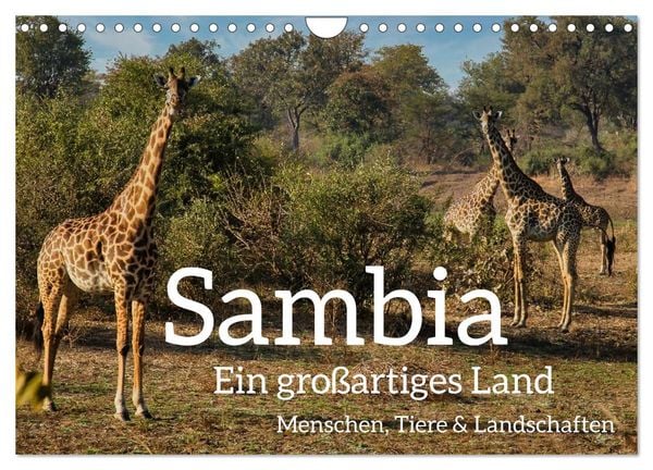 Sambia - ein großartiges Land (Wandkalender 2026 DIN A4 quer), CALVENDO Monatskalender