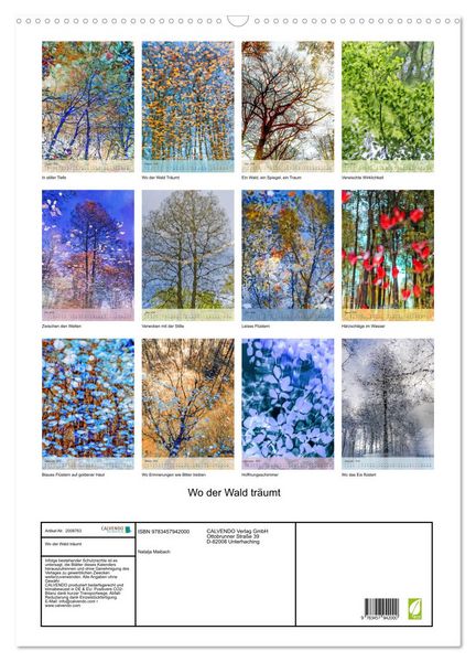 Produktbild: Wo der Wald tr&auml;umt (Wandkalender 2026 DIN A2 hoch), CALVENDO Monatskalender