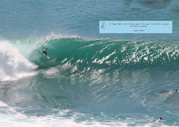 Produktbild: Surf Bali - Indojunkie Reiseführer