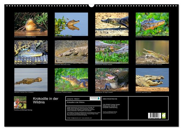Produktbild: Krokodile in der Wildnis (Wandkalender 2026 DIN A2 quer), CALVENDO Monatskalender