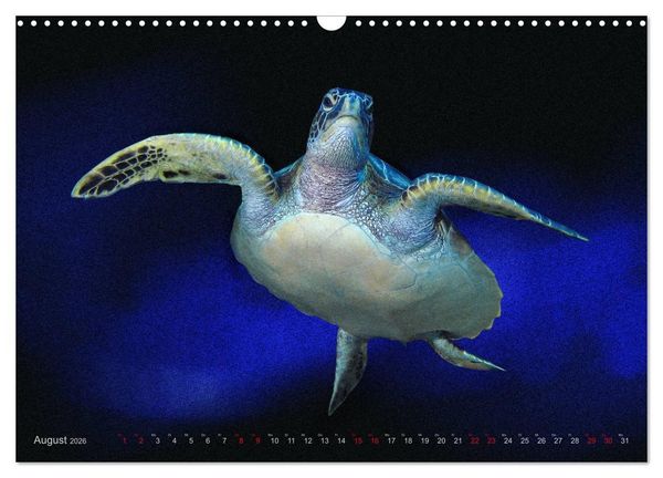 Produktbild: Artwork Unterwasser - Erlebnis Tauchen (Wandkalender 2026 DIN A3 quer), CALVENDO Monatskalender