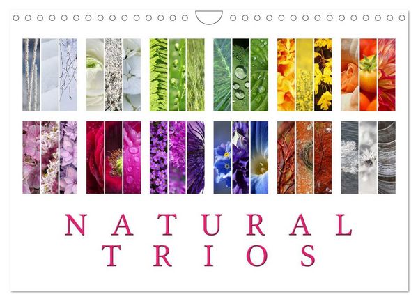 Produktbild: Natural Trios (Wall Calendar 2026 DIN A4 landscape), CALVENDO 12 Month Wall Calendar