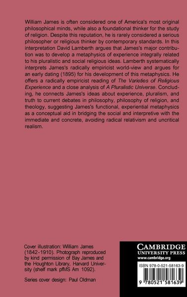 Produktbild: William James and the Metaphysics of Experience