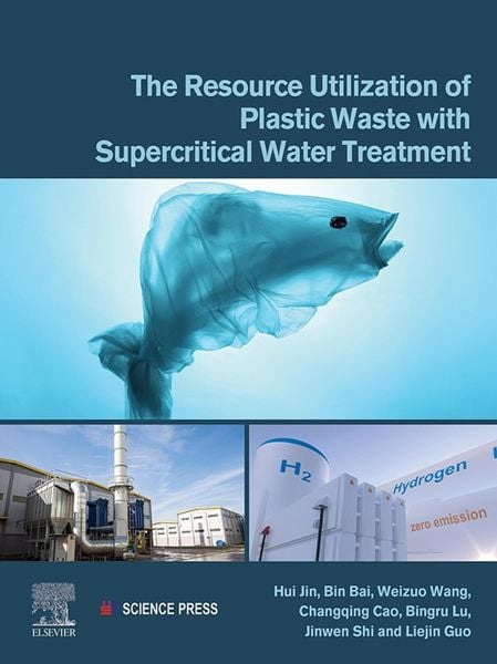 Produktbild: The Resource Utilization of Plastic Waste with Supercritical Water Treatment