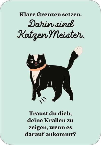 Produktbild: MIEZNachrichten f&uuml;r jede Lebenslage