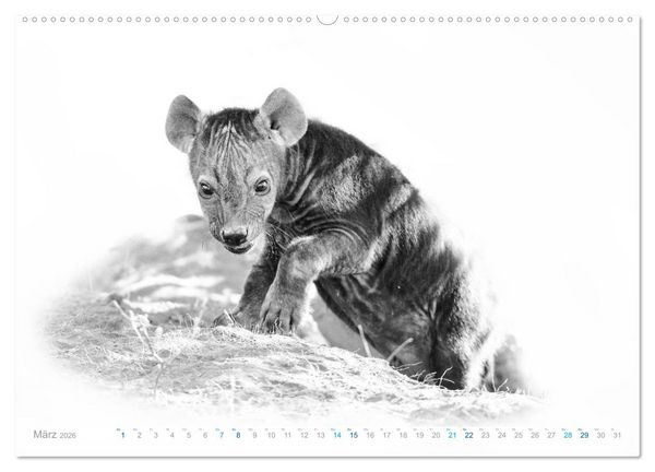 Produktbild: AFRIKA - Schwarz-weiss Fotografien im modernen "High Key" Look (Wandkalender 2026 DIN A2 quer), CALVENDO Monatskalender
