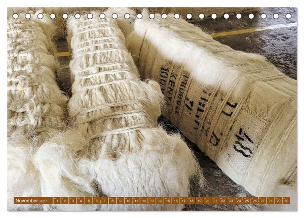 Produktbild: SISAL - von der Pflanze zum Produkt (Tischkalender 2027 DIN A5 quer), CALVENDO Monatskalender