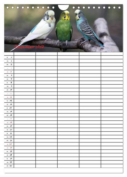 Produktbild: Wellensittiche (Wandkalender 2027 DIN A4 hoch), CALVENDO Monatskalender