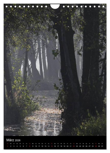 Produktbild: Wunderbarer Spreewald (Wandkalender 2026 DIN A4 hoch), CALVENDO Monatskalender
