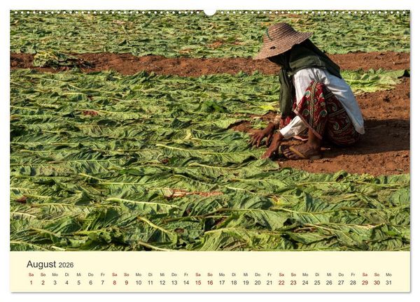 Produktbild: Leben in Myanmar (hochwertiger Premium Wandkalender 2026 DIN A2 quer), Kunstdruck in Hochglanz