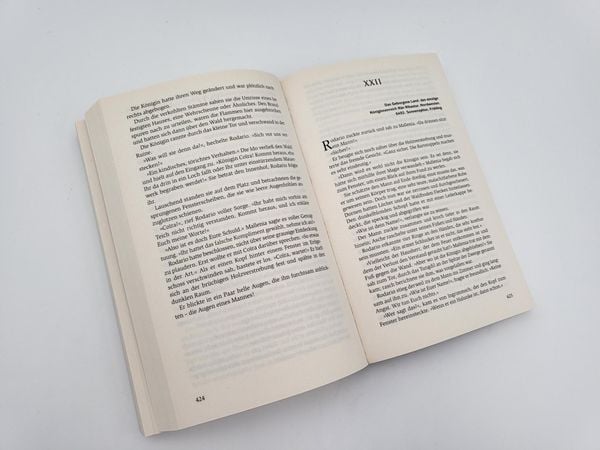 Das Schicksal der Zwerge / Die Zwerge Band 4