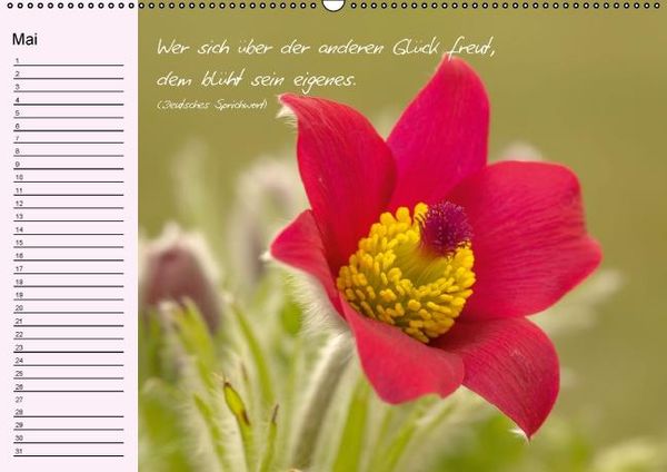 Produktbild: Blumengartenjahr - Geburtstagskalender mit sch&ouml;nen Zitaten (Wandkalender immerw&auml;hrend DIN A2 quer)