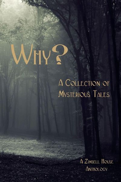 Produktbild: Why?