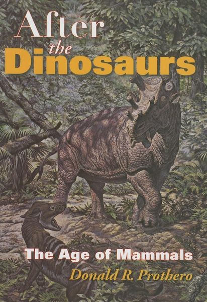 Produktbild: After the Dinosaurs
